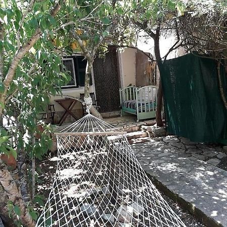 Apartament Casa Natasa Oziás Zewnętrze zdjęcie