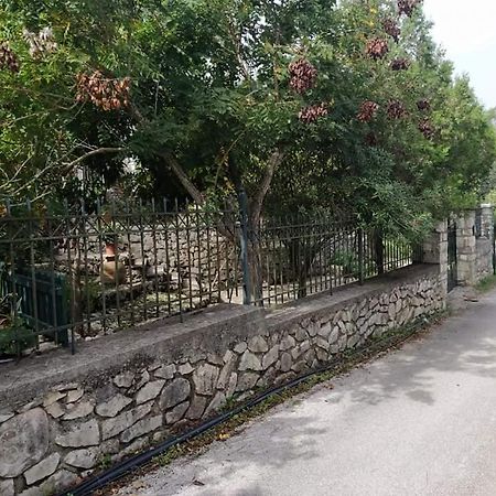Apartament Casa Natasa Oziás Zewnętrze zdjęcie