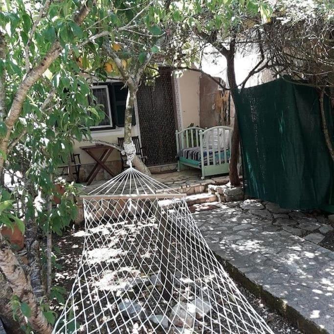 Apartament Casa Natasa Oziás Zewnętrze zdjęcie