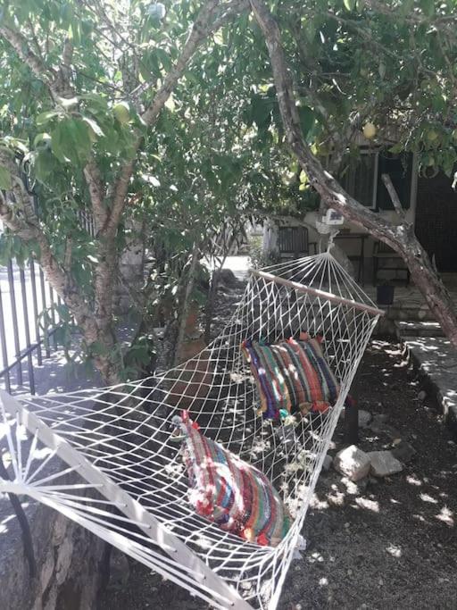 Apartament Casa Natasa Oziás Zewnętrze zdjęcie