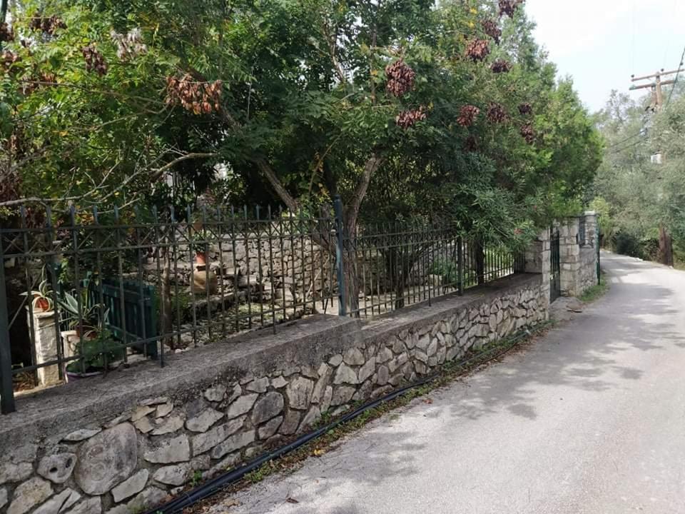 Apartament Casa Natasa Oziás Zewnętrze zdjęcie