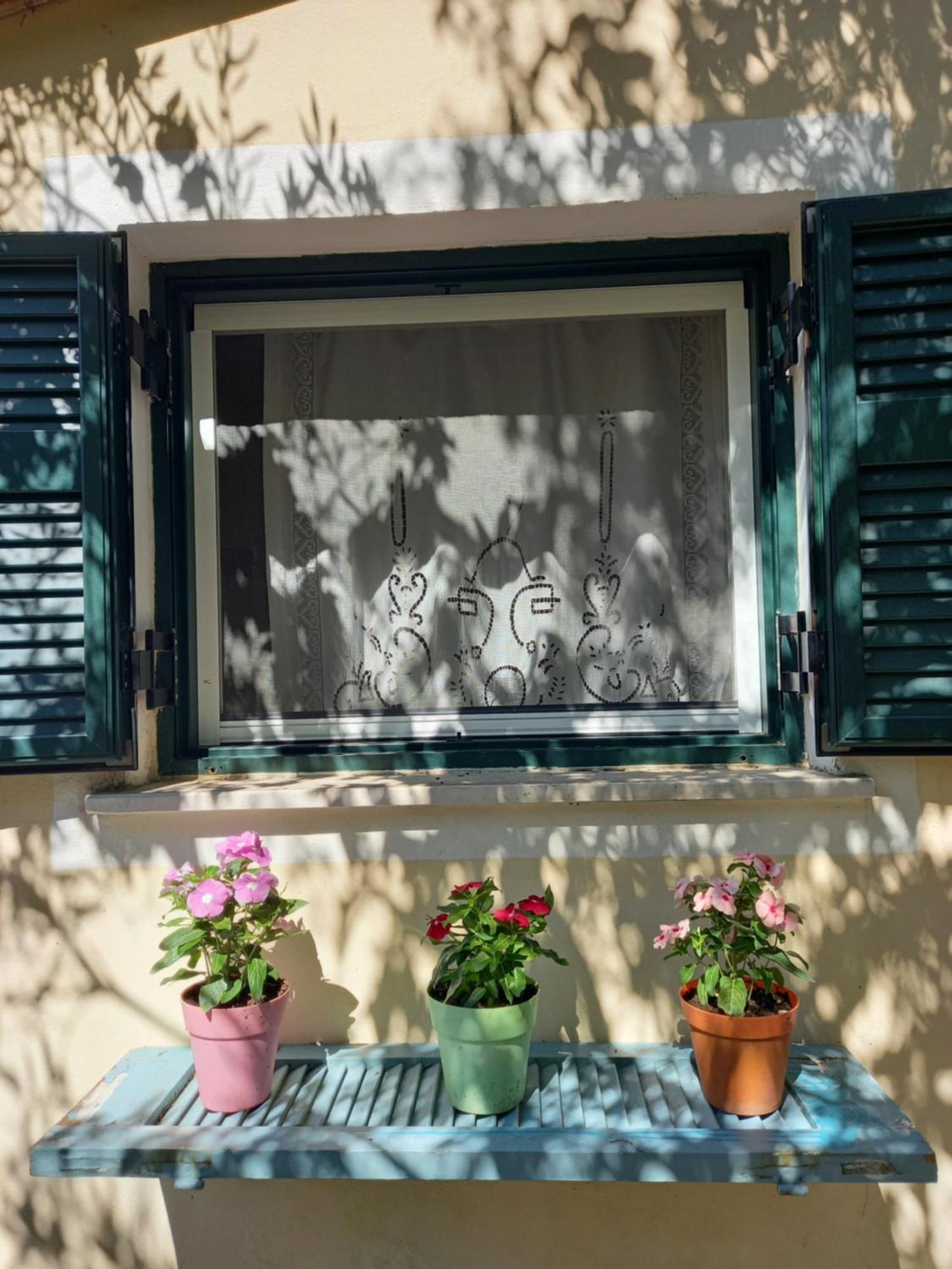 Apartament Casa Natasa Oziás Pokój zdjęcie